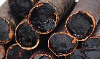 缅甸便秘果的功效与作用（便秘果的正确服用方法）