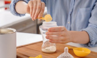 豆奶粉的正确冲泡方法（牛奶粉的功效与作用及禁忌）