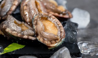 鲍鱼暂时不吃如何保存（鲍鱼的保存方法冷藏冷冻）