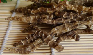 酒地龙的功效与作用（酒地龙的功效与作用图片）