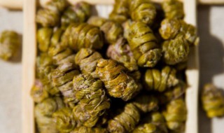 石斛和陈皮一起煮水喝的功效（石斛和陈皮一起煮水喝的功效与禁忌）