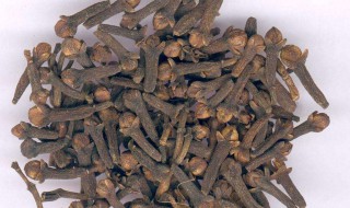 丁香的药用功效与作用（丁香的药用功效与作用及禁忌）