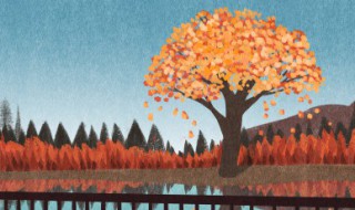 凉风是什么季节（凉风什么?）