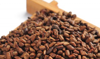 炒决明子和决明子的区别（决明子6大害处）