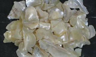 煅珍珠母的功效与作用 煅珍珠母的功效与作用的功能与主治