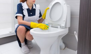 马桶怎么防止大便溅水 马桶怎么防止大便溅水的方法