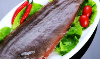 龙利鱼和巴沙鱼是一种鱼吗 小孩子为什么不能吃龙利鱼