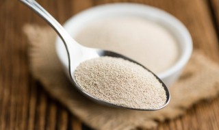 泡打粉与酵母粉的区别(泡打粉和酵母粉的区别在哪里)