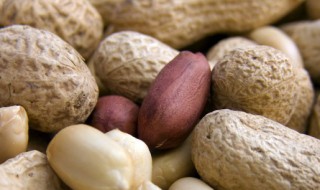 梦见种花生是什么意思（梦见花生是什么意思?）