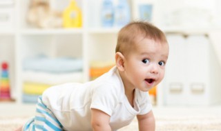 带逸的男孩名字（带逸的男孩名字有典故）