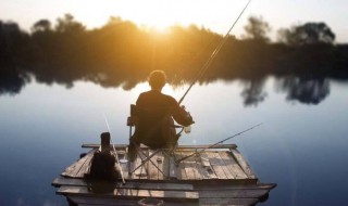 钓鱼的红虫是怎么养的 钓鱼的红虫子怎么养