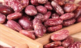 花芸豆怎么做好吃 白芸豆的正确吃法