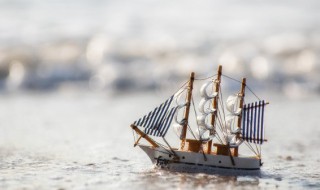 辰河小船上的水手概括（辰河小船上的水手概括100字）