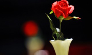 三月十四日是什么日子(阳历三月十四日是什么日子)