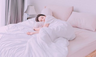 梦见几条狗是什么意思（梦见狗财运好不好）