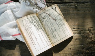 七步成章的下一句（七步成章是什么历史人物）