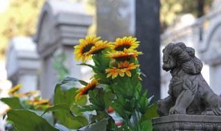 梦见去坟地是什么意思（梦见去坟地是什么意思周公解梦）