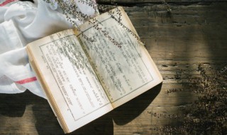 成大事要从小事做起的名言或事例（成大事从小事做起例子）