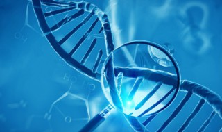 生物是指什么 生物是指什么的物体