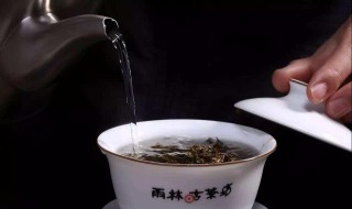 宝洪茶储存方法（宝洪茶怎么冲泡）