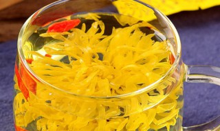 金丝皇菊可以天天喝吗 金丝皇菊可以长期泡水喝吗