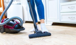 卫生间小飞虫从哪来的 卫生间小飞虫是怎么回事