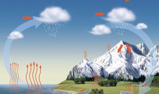 自然界的水循环包括哪些 自然界的水循环包括哪些过程