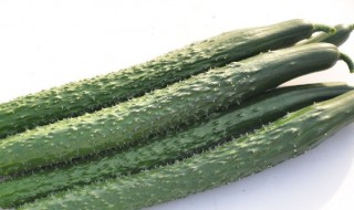 黄瓜的颜色形状表面分别是什么(黄瓜的形状和表面是什么样)