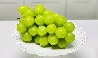 阳光玫瑰口感特点(阳光玫瑰口感特点是什么)