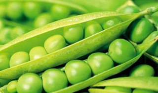 豌豆煮多久熟 豌豆煮多久熟才能吃
