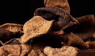 陈皮的药用 陈皮的药用功效与主治