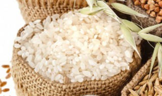 筋力源是什么东西 筋力源各种型号的作用