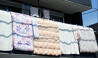 一床蚕丝被要多少个茧（一床蚕丝被要多少个蚕茧）