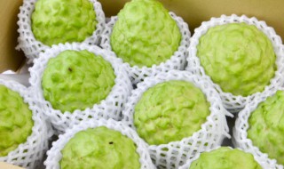 凤梨释迦果怎么吃（凤梨释迦果怎么吃视频）