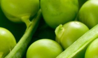 炒豌豆的功效与作用 炒豌豆的功效与作用禁忌