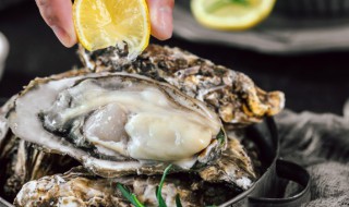 生蚝冷藏可以放几天（带壳生蚝冷藏可以放几天）