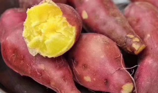 桥头地瓜产地在哪里（全国最好吃红薯排名）