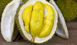 榴莲不熟怎么办打开了怎么办(榴莲不熟怎么办打开了怎么办呀)