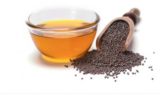 芥末油的功效（芥末的功能）