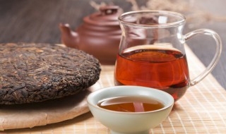 广别老寨古树茶口感特点(广别老寨为什么称妖茶)