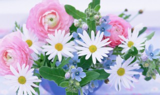 鲜花保鲜液和水的比例(鲜花保鲜液直接倒在水中吗)