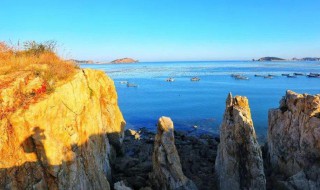 神龙岛在哪（神龙岛在哪里）
