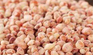 高粱米煮饭前要泡多久（女人吃高粱米的好处）