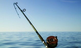 感情上的钓鱼是什么意思 感情里钓鱼