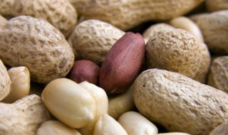 煮五香花生放什么调料 煮五香花生放什么调料最好