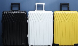 行李箱改密码步骤（忘记行李箱密码怎么办）