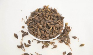 青连翘的功效与作用 中药青连翘的功效与作用