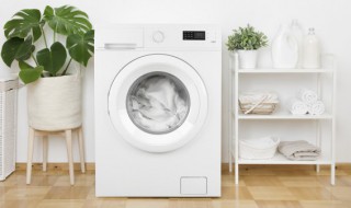 洗衣机洗鞋的危害 洗衣机洗鞋对鞋子有什么不好