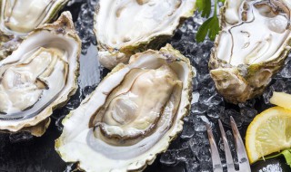 生蚝怎么吃哪部分 生蚝哪些部位不能吃