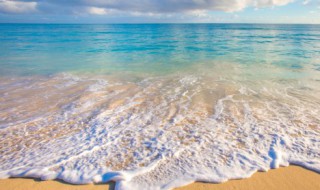 水资源对我们的重要性 水资源对我们的重要性英语